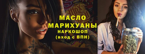 индика Вязники