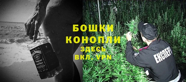 индика Вязники