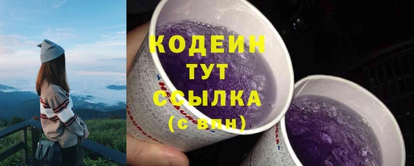 индика Вязники
