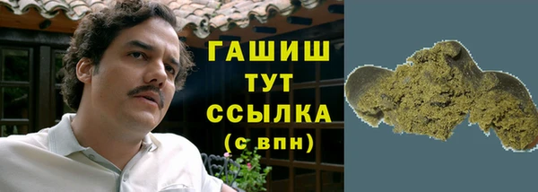 твердый Вяземский