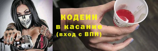 индика Вязники
