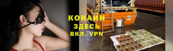 индика Вязники