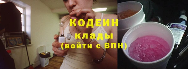 твердый Вяземский