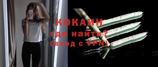 индика Вязники