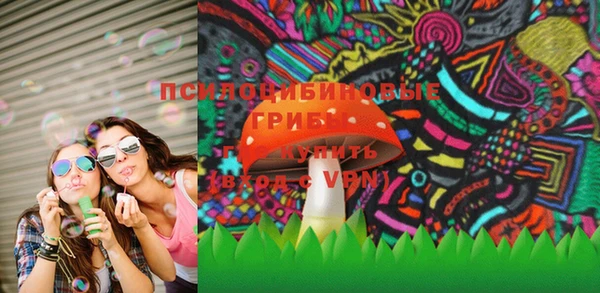 шишки Вязьма