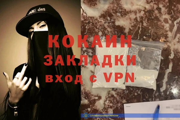 твердый Вяземский