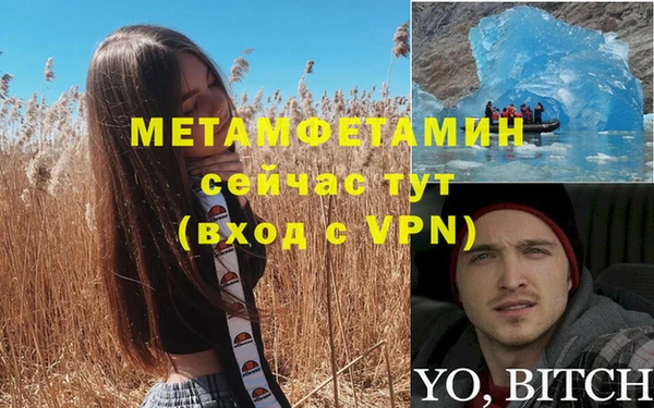 твердый Вяземский