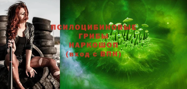 индика Вязники