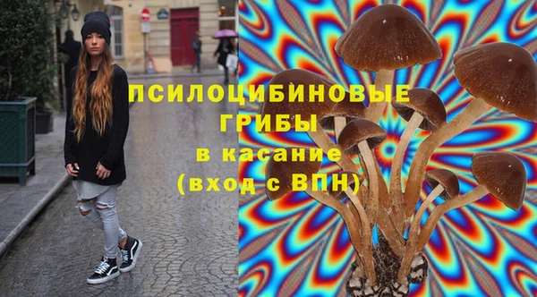 твердый Вяземский